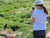 up-close-and-personal-with-puffins-on-skomer-island